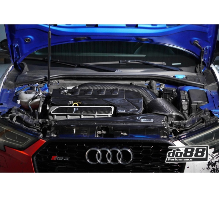 do88 Audi RS3 8V 8Y / TT RS (8S) BeastFlow Intake System
