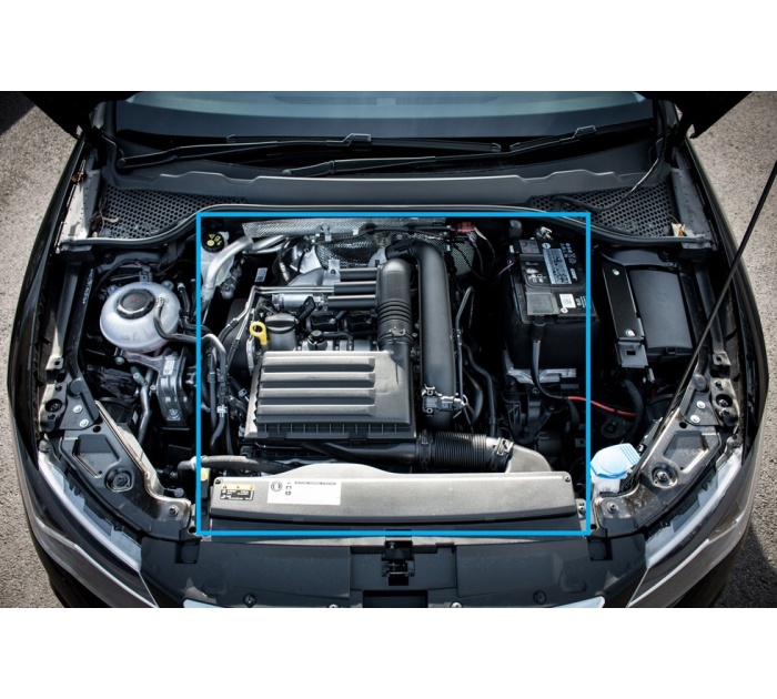 Forge 1.2 & 1.4 VAG High Flow Carbon Intake | FMINDK14