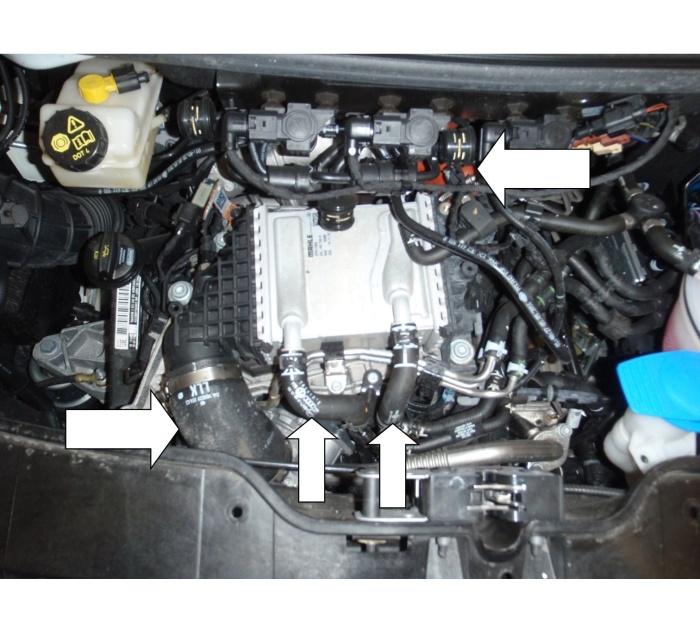 Forge Chargecooler Silicone Hose Kit - VW T6 180/204 PS